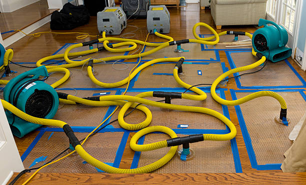 Professional Burst Pipe Water Damage technician working in Oakland Gardens, NY